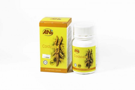 Cordyceps